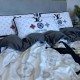 2023FW Online Limited Product LOUIS VUITTON Bedding 2023FW Online Limited Product LOUIS VUITTON Bedding