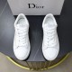 Last Fall/Winter Collection 2023FW Casual Shoes DIOR Dior Last Fall/Winter Collection 2023FW Casual Shoes DIOR Dior