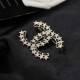 2023SS brooch Fashionable keyword CHANEL 2023SS brooch Fashionable keyword CHANEL