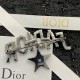 DIOR Dior Brooch 2023SS Excellent practicality for daily use DIOR Dior Brooch 2023SS Excellent practicality for daily use