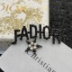 DIOR Dior Brooch 2023SS Excellent practicality for daily use DIOR Dior Brooch 2023SS Excellent practicality for daily use