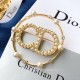 DIOR Dior brooch 2023SS Enjoy spring and summer fashion DIOR Dior brooch 2023SS Enjoy spring and summer fashion