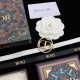 2023FW Brooch DIOR Dior Relaxed atmosphere 2023FW Brooch DIOR Dior Relaxed atmosphere