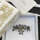 2023FW Brooch DIOR New item in pursuit of Dior trends 2023FW Brooch DIOR New item in pursuit of Dior trends