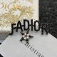 2023FW Brooch DIOR New item in pursuit of Dior trends 2023FW Brooch DIOR New item in pursuit of Dior trends