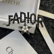 2023FW Brooch DIOR New item in pursuit of Dior trends 2023FW Brooch DIOR New item in pursuit of Dior trends