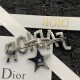 2023FW Brooch DIOR New item in pursuit of Dior trends 2023FW Brooch DIOR New item in pursuit of Dior trends