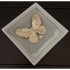 DIOR Dior Adult style 2023FW brooch perfect for everyday use