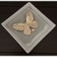 DIOR Dior Adult style 2023FW brooch perfect for everyday use DIOR Dior Adult style 2023FW brooch perfect for everyday use