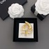 DIOR Fashionable autumn/winter style 2023FW brooch