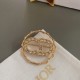 DIOR Dior casual item 2023FW brooch DIOR Dior casual item 2023FW brooch