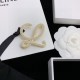 LOEWE Loewe brooch 2023SS Enjoy the latest summer style LOEWE Loewe brooch 2023SS Enjoy the latest summer style