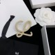 LOEWE Loewe brooch 2023SS Enjoy the latest summer style LOEWE Loewe brooch 2023SS Enjoy the latest summer style