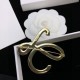 LOEWE Loewe brooch 2023SS Enjoy the latest summer style LOEWE Loewe brooch 2023SS Enjoy the latest summer style