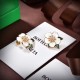 2023SS earrings Popular again this year BOTTEGA VENETA Bottega Veneta 2023SS earrings Popular again this year BOTTEGA VENETA Bottega Veneta