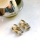 2023FW Earrings BOTTEGA VENETA Autumn items must be sold out 2023FW Earrings BOTTEGA VENETA Autumn items must be sold out