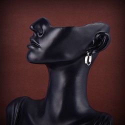2023SS Earrings Limited edition CELINE Celine that can be used in spring
