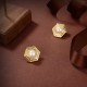 CELINE Celine Earrings 2023SS limited quantity miracle arrival CELINE Celine Earrings 2023SS limited quantity miracle arrival