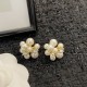 CELINE Celine earrings 2023SS celebrity favorite brand CELINE Celine earrings 2023SS celebrity favorite brand