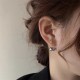 CELINE Very popular 2023FW earrings in many colors CELINE Very popular 2023FW earrings in many colors