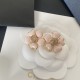 2023SS Earring Latest Limited Time Sale CHANEL Chanel 2023SS Earring Latest Limited Time Sale CHANEL Chanel