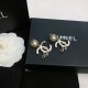 CHANEL Chanel Earrings 2023SS Fan must-see spring and summer new work CHANEL Chanel Earrings 2023SS Fan must-see spring and summer new work