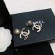 CHANEL Chanel Earrings 2023SS Fan must-see spring and summer new work CHANEL Chanel Earrings 2023SS Fan must-see spring and summer new work
