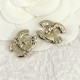 2023FW earrings CHANEL Perfect for going out in autumn 2023FW earrings CHANEL Perfect for going out in autumn