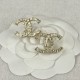 2023FW earrings CHANEL CHANEL Autumn new item that is sure to be a hit this season 2023FW earrings CHANEL CHANEL Autumn new item that is sure to be a hit this season