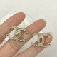 2023FW earrings CHANEL CHANEL Autumn new item that is sure to be a hit this season 2023FW earrings CHANEL CHANEL Autumn new item that is sure to be a hit this season