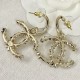2023FW earrings CHANEL Chanel This fall's must-have item 2023FW earrings CHANEL Chanel This fall's must-have item