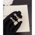 CHANEL Latest limited time sale 2023FW earrings