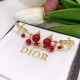 2023SS Earrings Spring Stock Clearance Sale DIOR Dior 2023SS Earrings Spring Stock Clearance Sale DIOR Dior