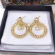 2023SS earrings popular sale 100% new DIOR Dior 2023SS earrings popular sale 100% new DIOR Dior