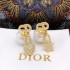 2023SS Earrings In stock now DIOR Dior