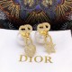 2023SS Earrings In stock now DIOR Dior 2023SS Earrings In stock now DIOR Dior