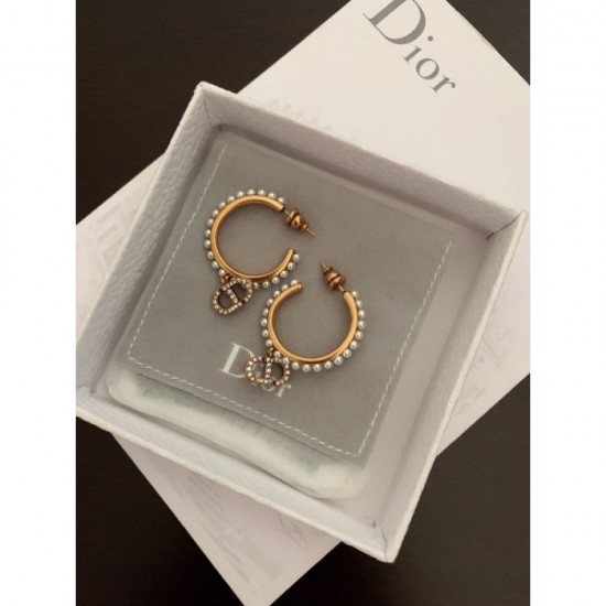 2023SS Earrings DIOR Dior active in spring and early summer 2023SS Earrings DIOR Dior active in spring and early summer