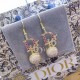 2023SS earrings Super rare hard-to-find item DIOR Dior 2023SS earrings Super rare hard-to-find item DIOR Dior