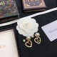 DIOR Dior Earrings 2023SS All you have to do is hold this down! DIOR Dior Earrings 2023SS All you have to do is hold this down!