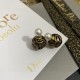 DIOR Dior Earrings 2023SS The cutting edge of fashion! DIOR Dior Earrings 2023SS The cutting edge of fashion!