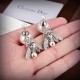 DIOR Dior Earrings 2023SS Aiming for fashionable seniors DIOR Dior Earrings 2023SS Aiming for fashionable seniors