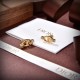 DIOR Dior earrings 2023SS overseas fashion new DIOR Dior earrings 2023SS overseas fashion new