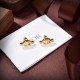 DIOR Dior earrings 2023SS overseas fashion new DIOR Dior earrings 2023SS overseas fashion new