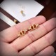 DIOR Dior earrings 2023SS overseas fashion new DIOR Dior earrings 2023SS overseas fashion new