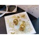 DIOR Dior Earrings 2023SS Summer new work to be in short supply DIOR Dior Earrings 2023SS Summer new work to be in short supply