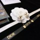 DIOR Dior earrings 2023SS playful items DIOR Dior earrings 2023SS playful items
