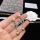 DIOR Dior earrings 2023SS playful items DIOR Dior earrings 2023SS playful items