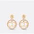 DIOR Dior Earrings 2023SS Cooler than it looks