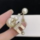 2023FW earrings DIOR Dior overseas fashion new items 2023FW earrings DIOR Dior overseas fashion new items