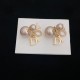 2023FW Earrings DIOR Dior Popular new items that are definitely recommended 2023FW Earrings DIOR Dior Popular new items that are definitely recommended
